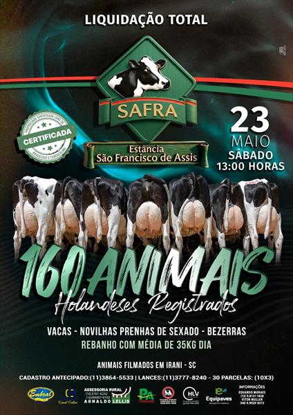 SAFRA LIQUIDAÇÃO TOTAL ESTÂNCIA SÃO FRANCISCO DE ASSIS - SAFRA | GADOS HOLANDESES