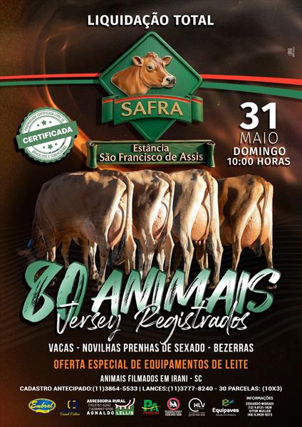 SAFRA LIQUIDAÇÃO TOTAL ESTÂNCIA SÃO FRANCISCO DE ASSIS - SAFRA | GADO JERSEY